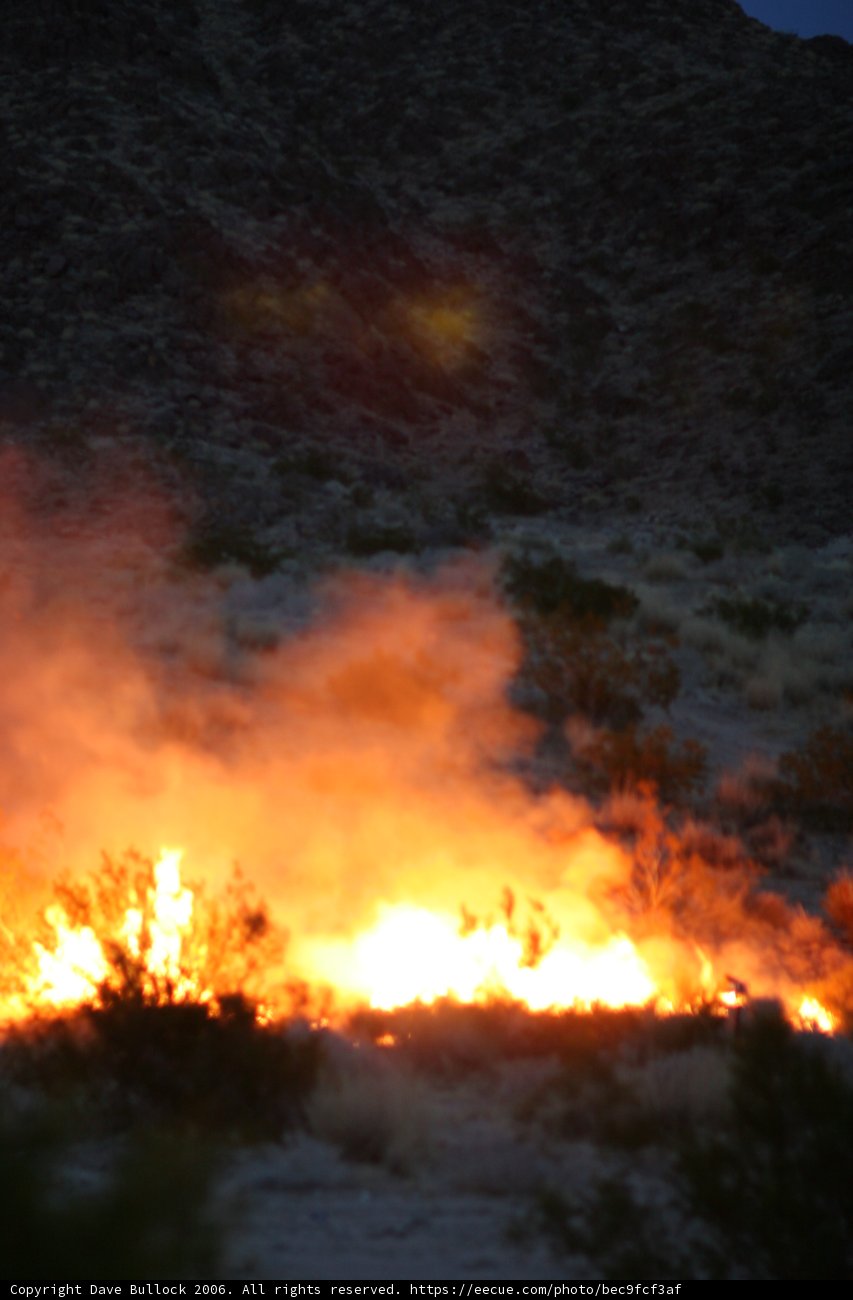 Blazing Inferno in the Wilderness