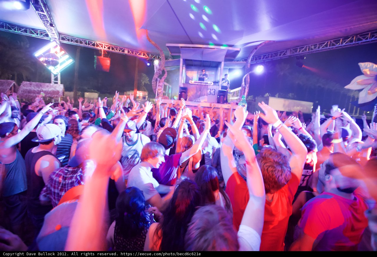 Electric Crowd at Coachella 2012