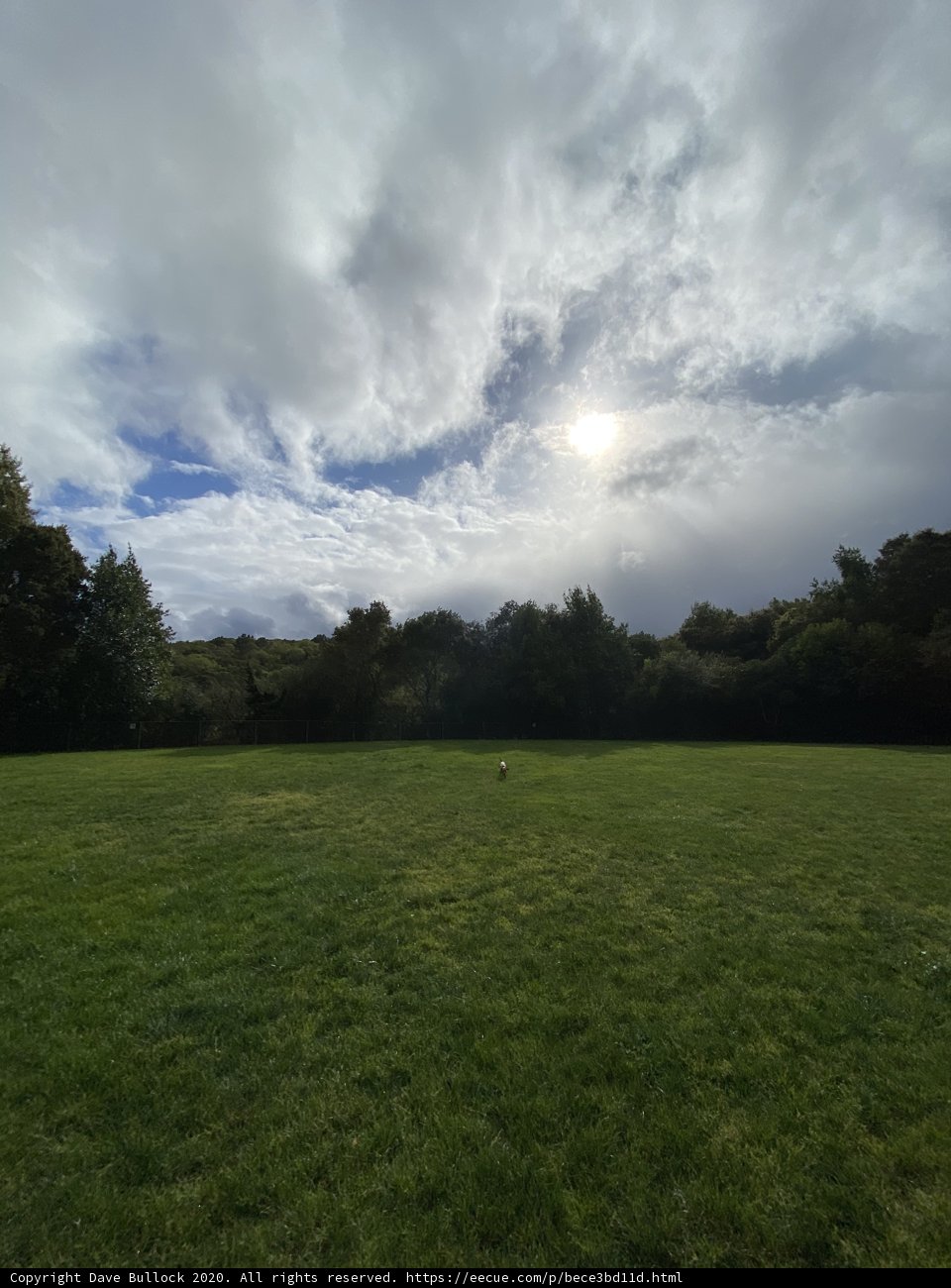 Serenity in the Field