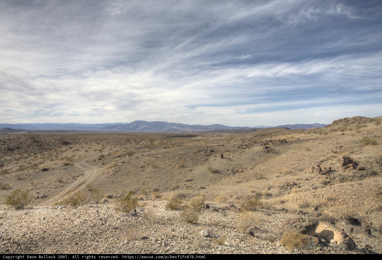 Desert Landscape