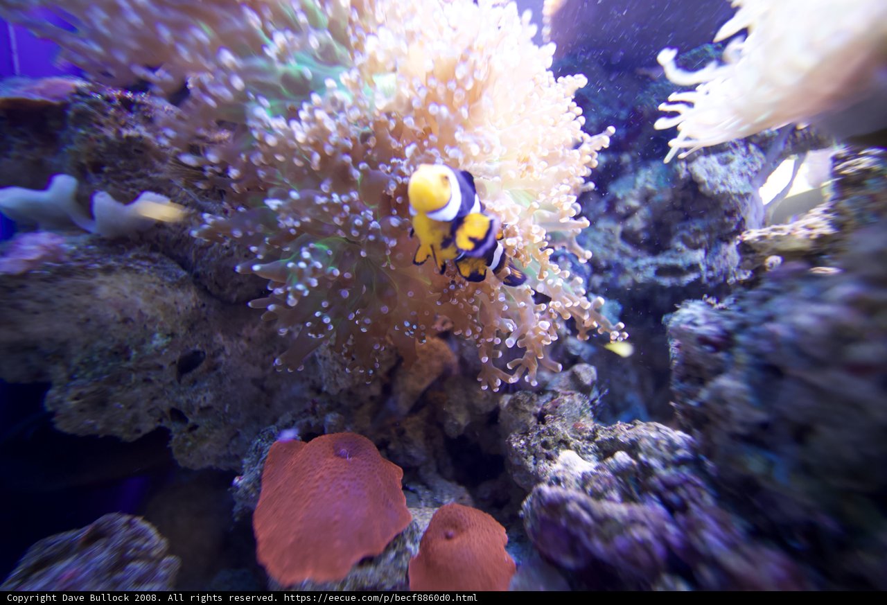 Underwater World