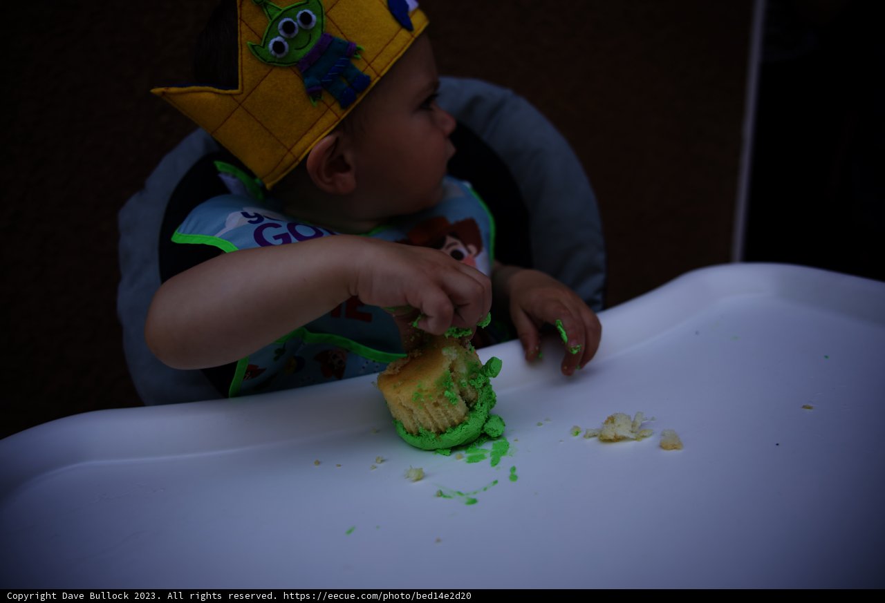 Wesley's Grand First Birthday Bash - A High Chair Feast!