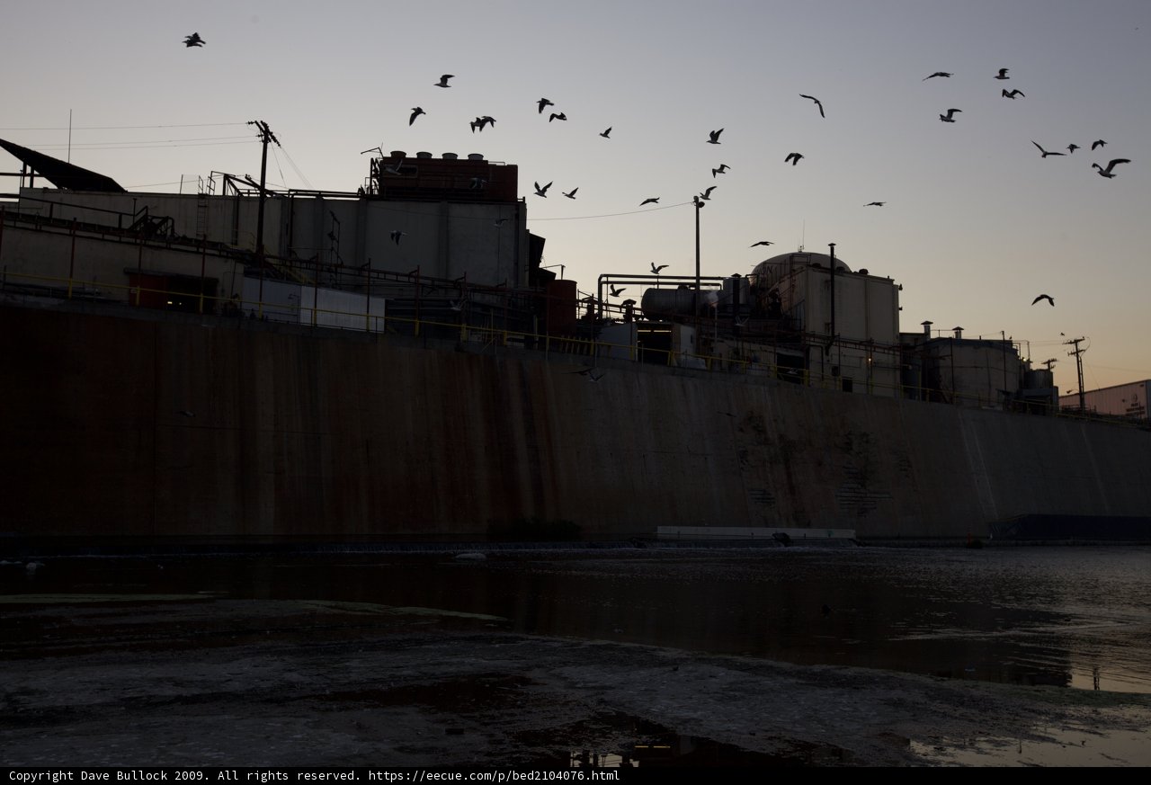 Majestic Ship and Flock of Birds