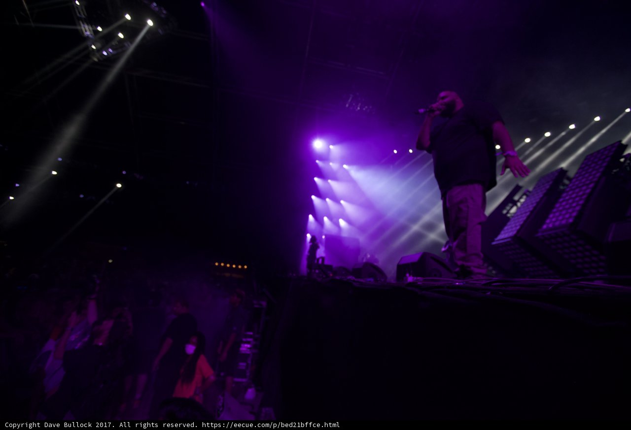 The Purple Spotlight