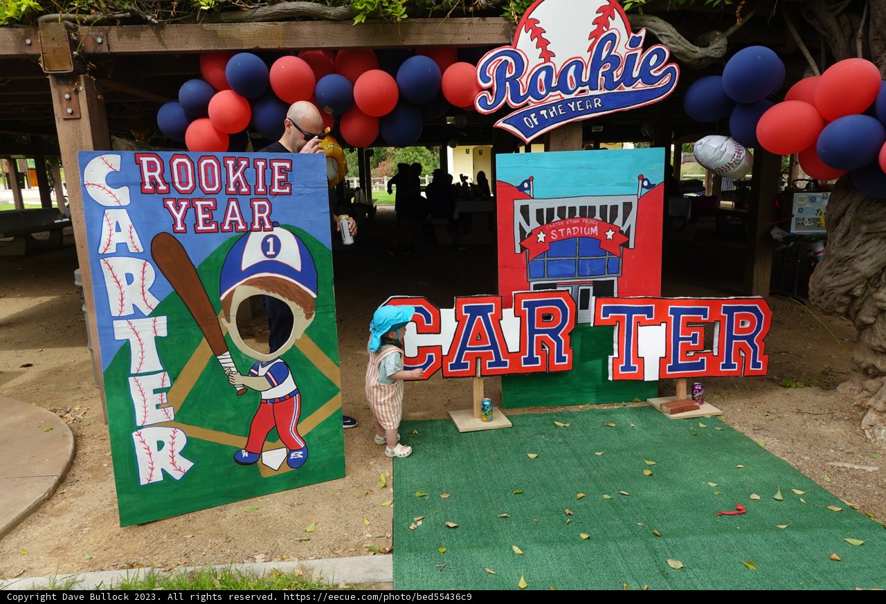 Baseball Bash! A Birthday Celebration to Remember