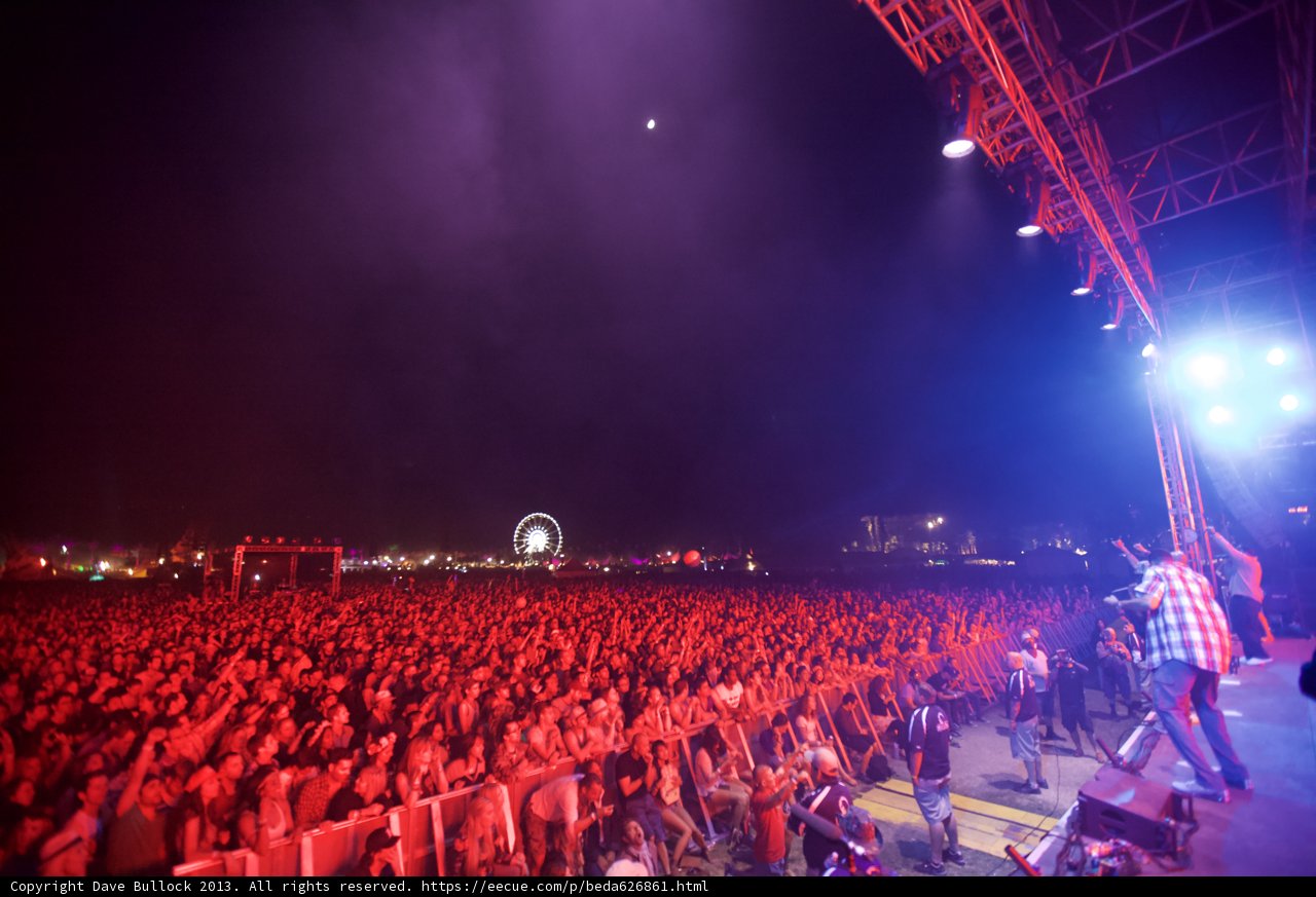 Rocking Out Under the Night Sky