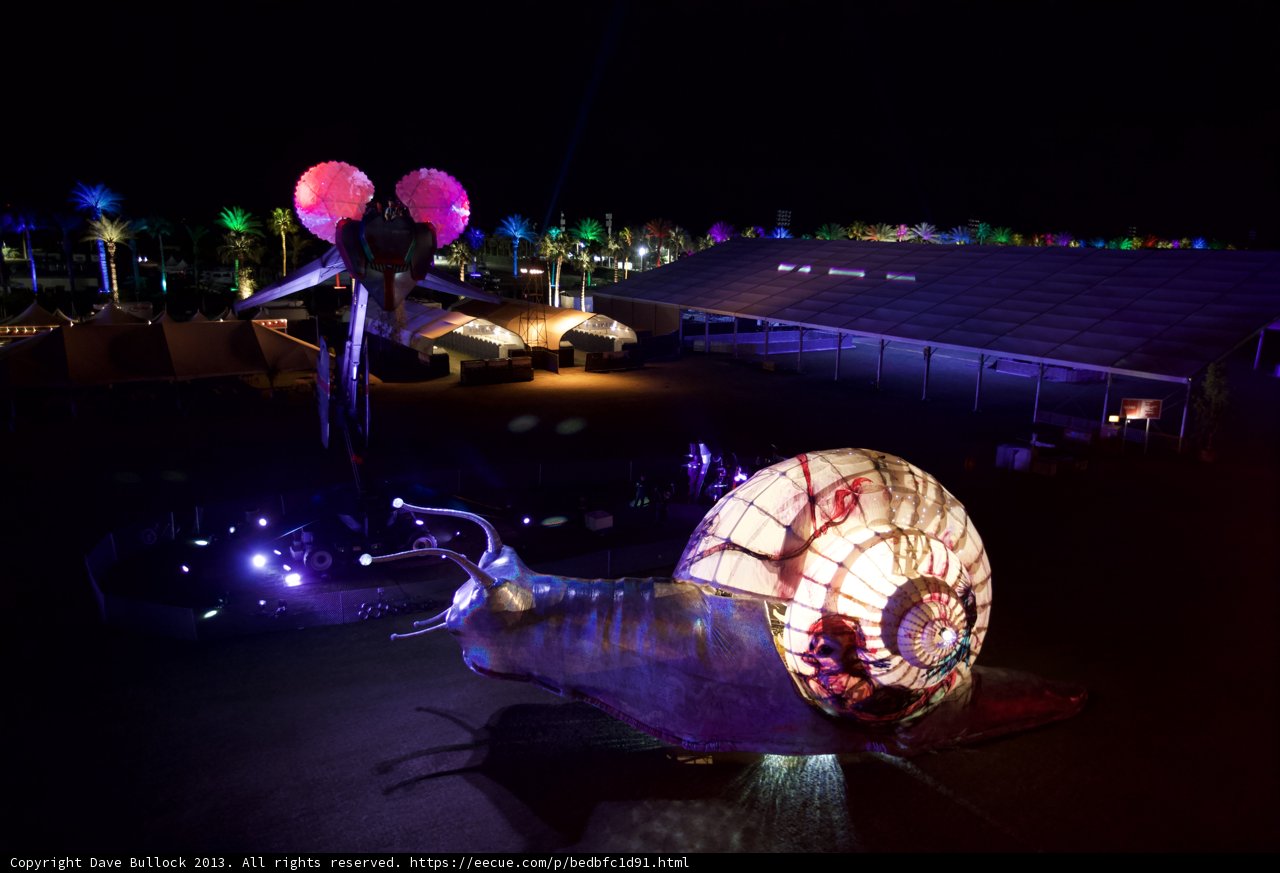 Illuminated Night Snail