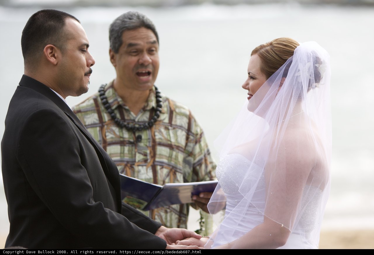 Beachside Wedding Bliss
