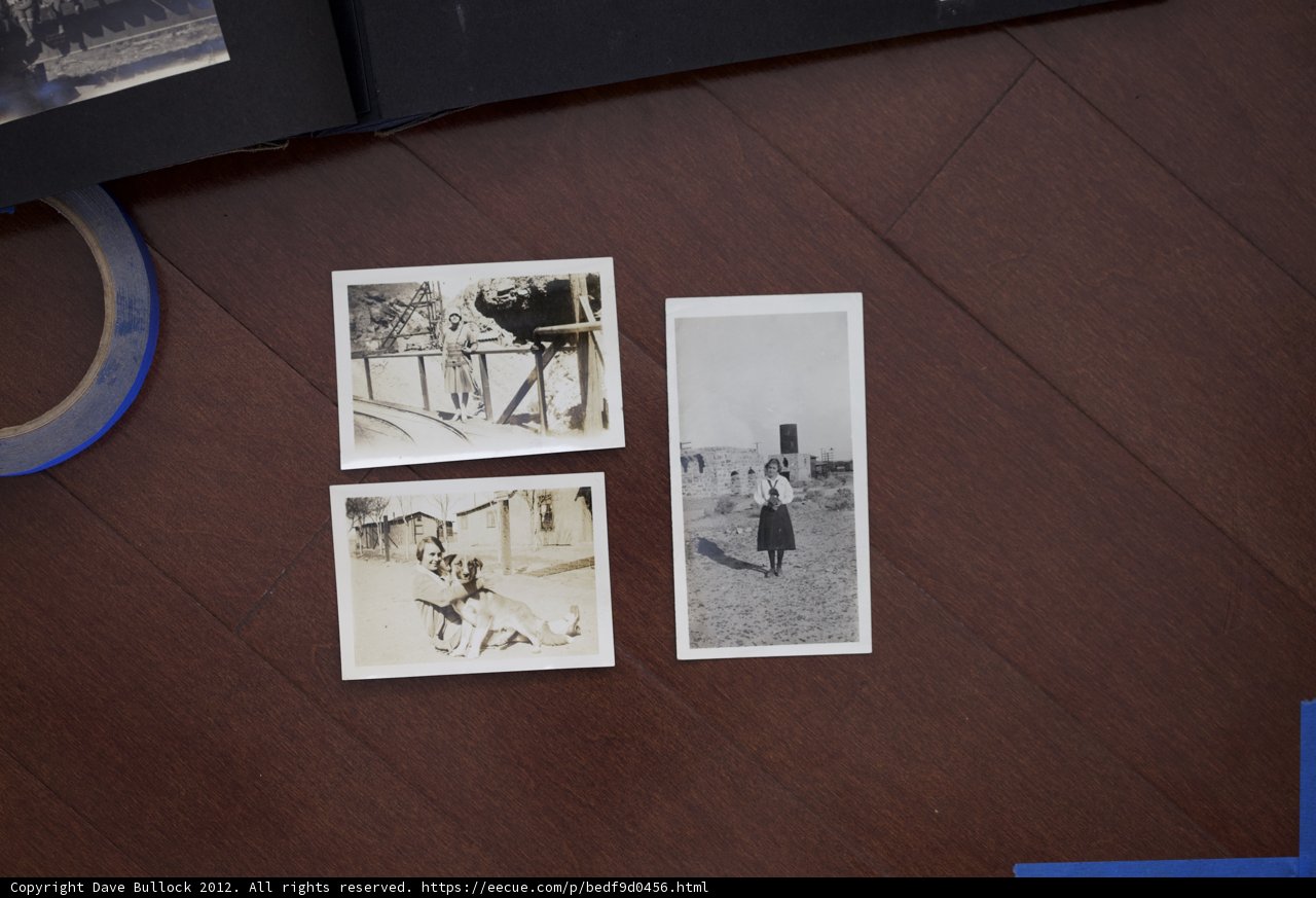 Memories of the Bullock-Curtis Family