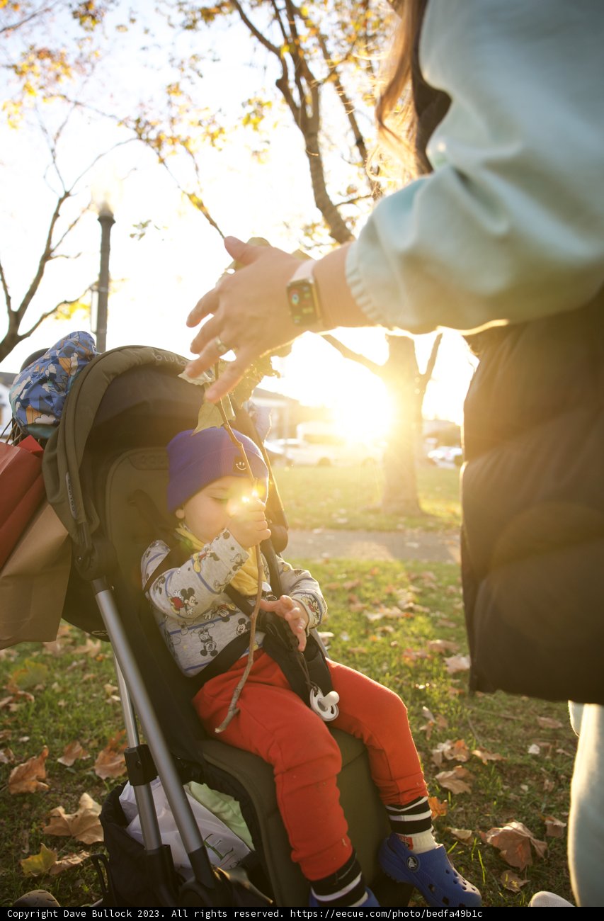 Motherhood in the Heart of Sonoma
