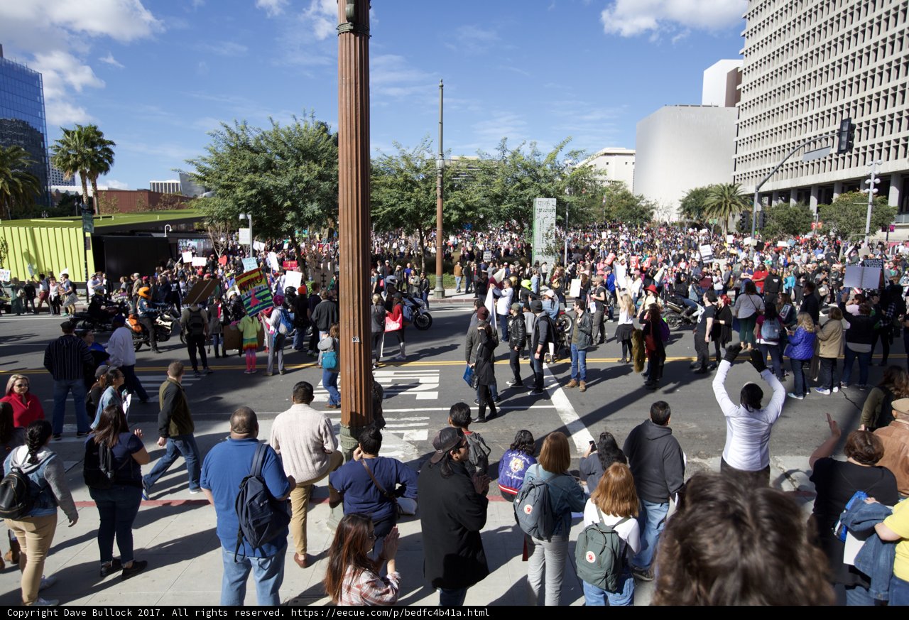 Massive Crowds Gather in Grand Park for Women's March