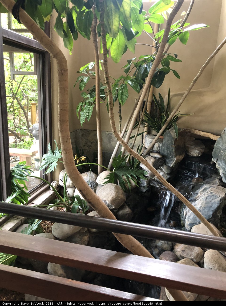 Natural Oasis in Room with Waterfall