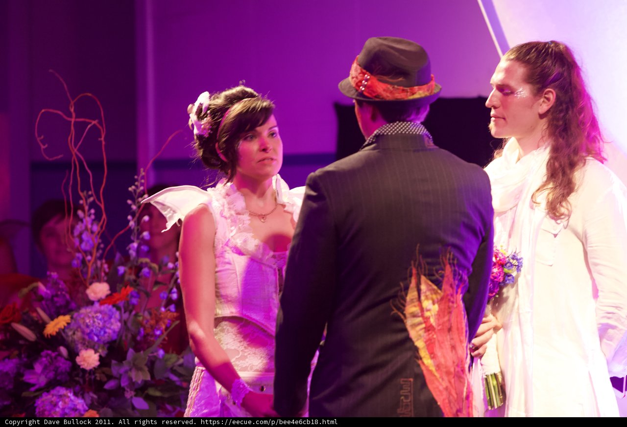 A Purple Wedding Blooms