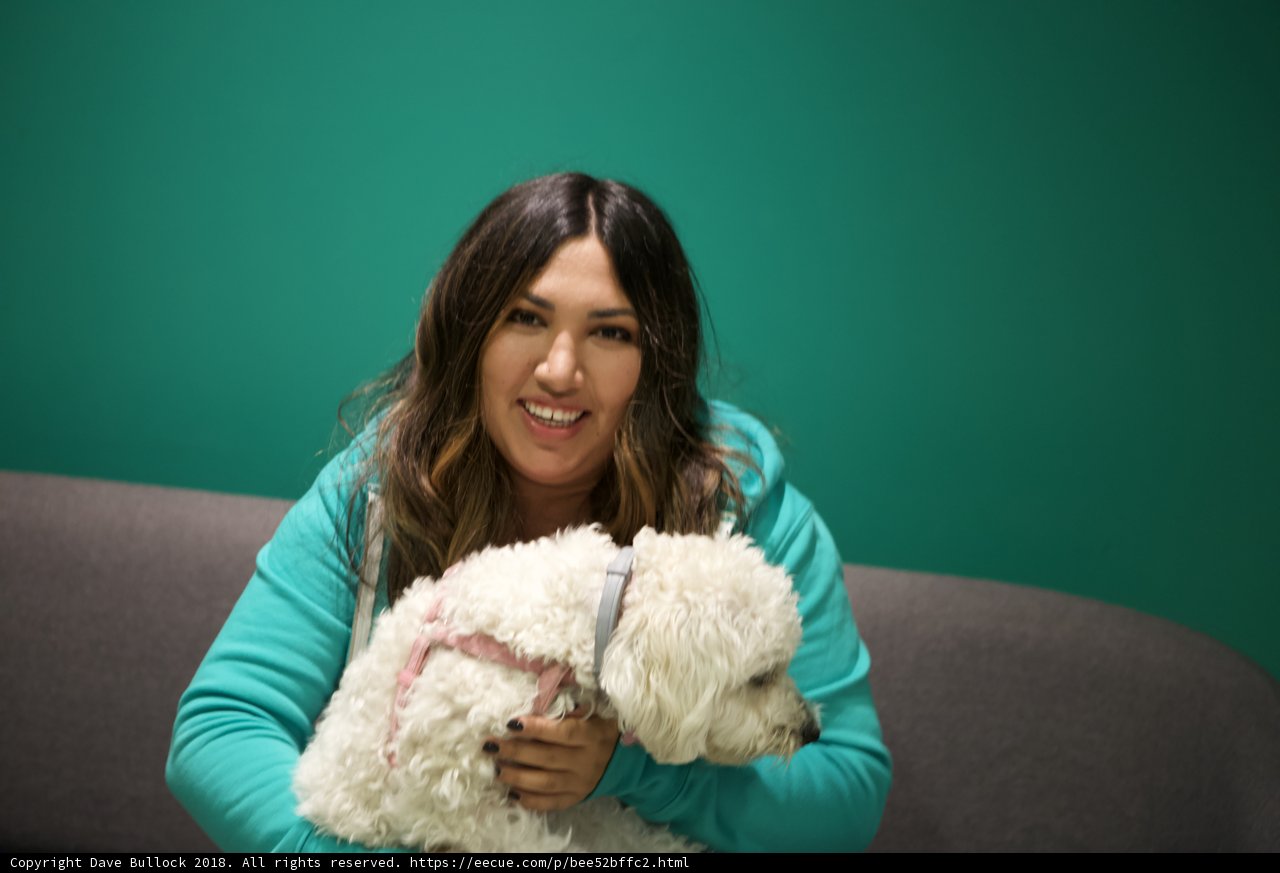 Happy Woman and Her White Dog