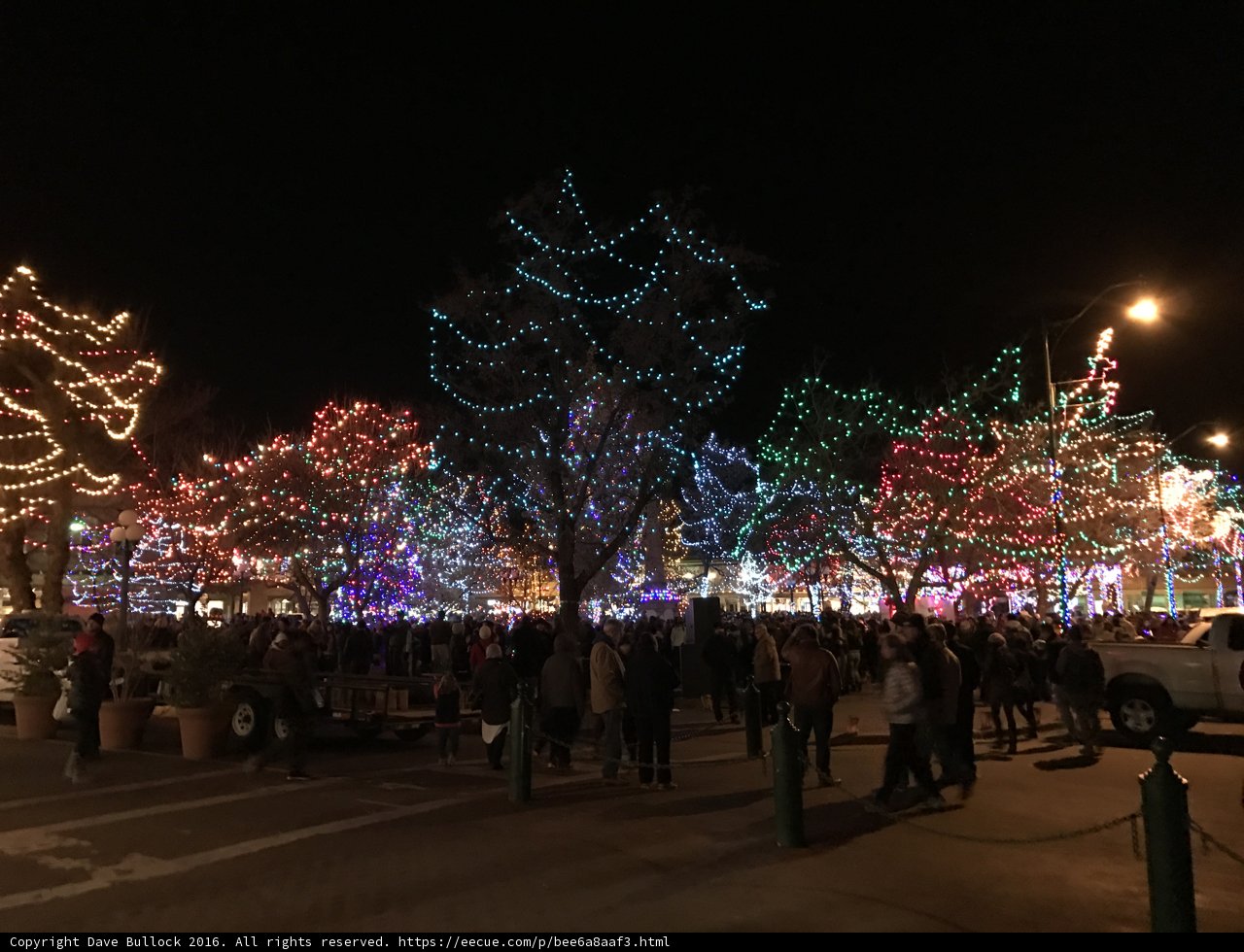Festive Tree Lighting at Palace of the Governors