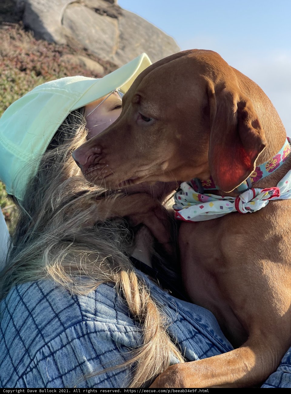 A Woman's Best Friend