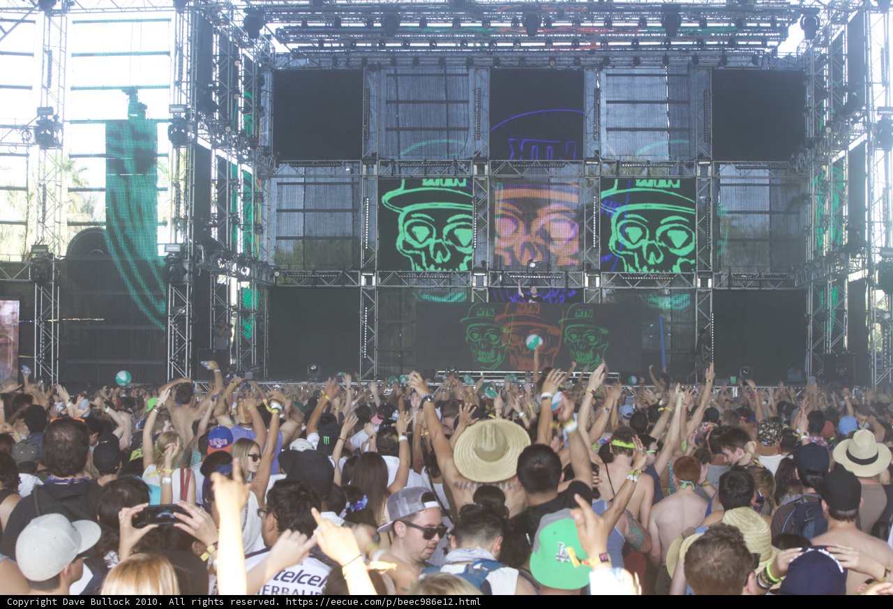 The Electric Crowd at Coachella