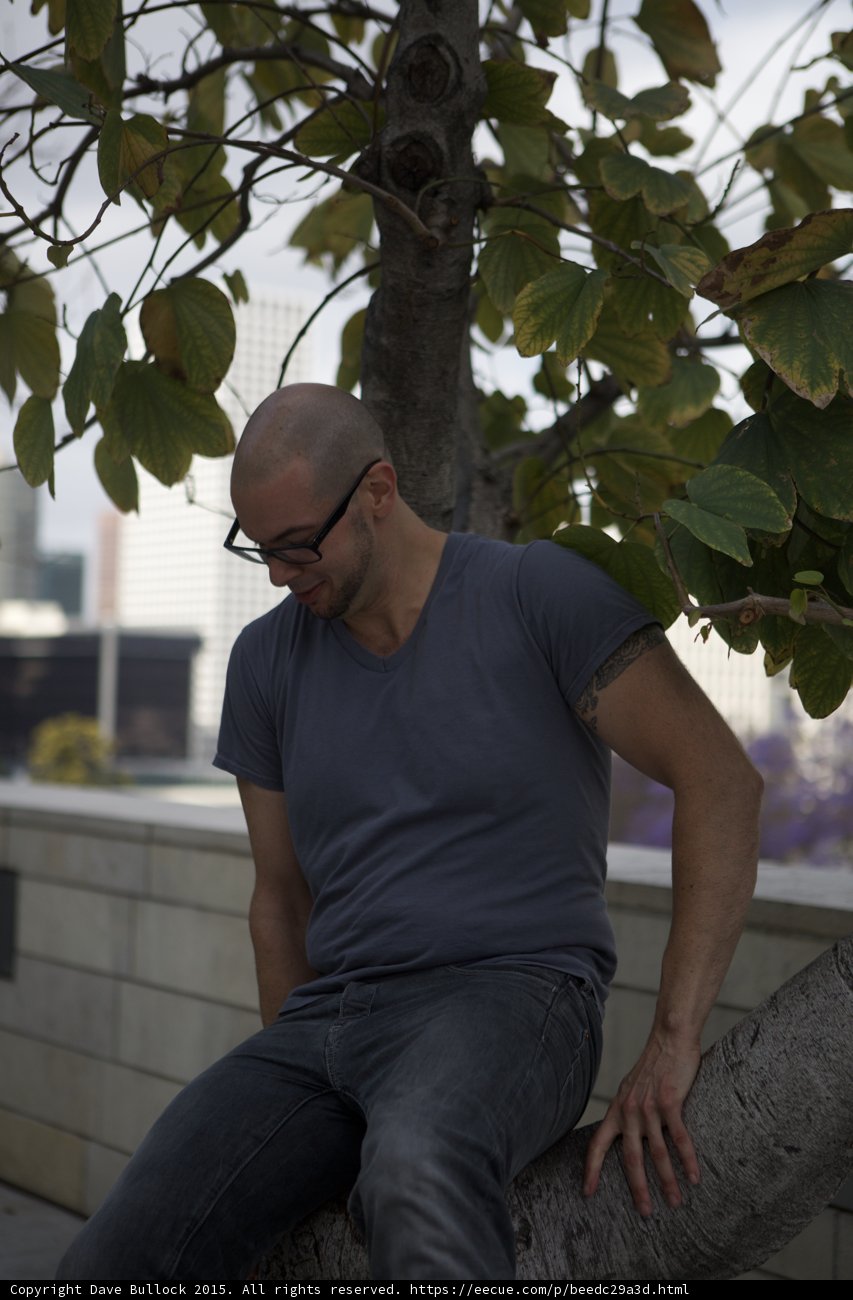 Contemplative Tree Portrait