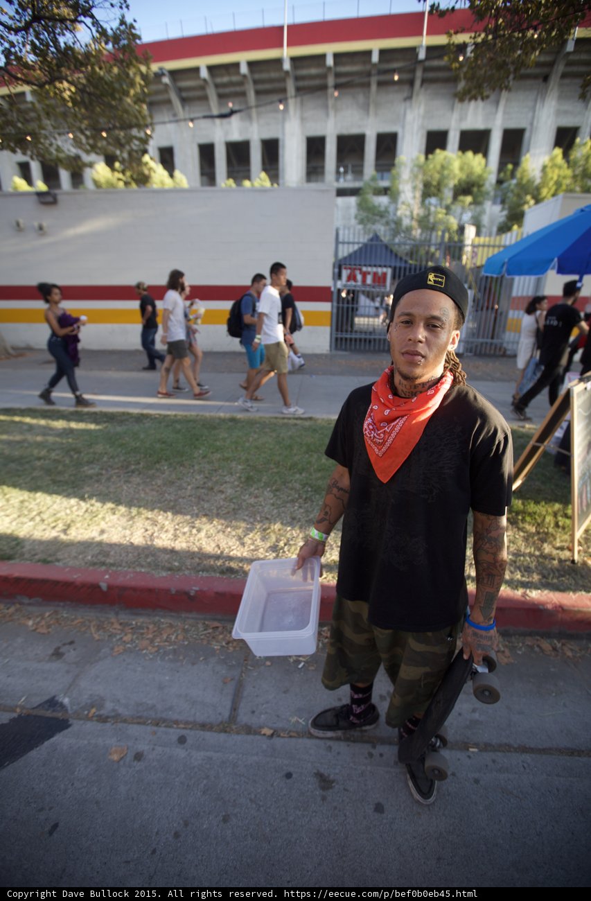 Tattooed Skater FYF Fest
