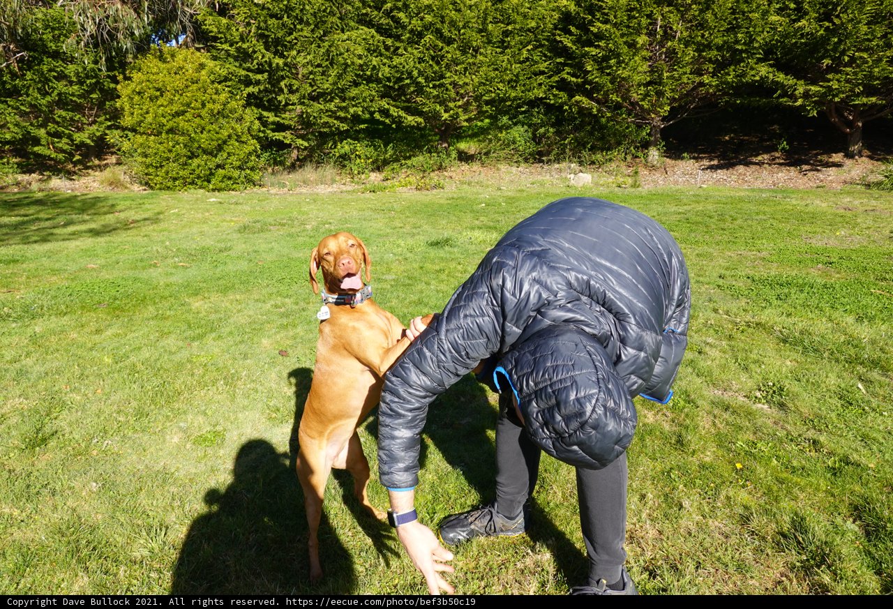 Playtime in the Park