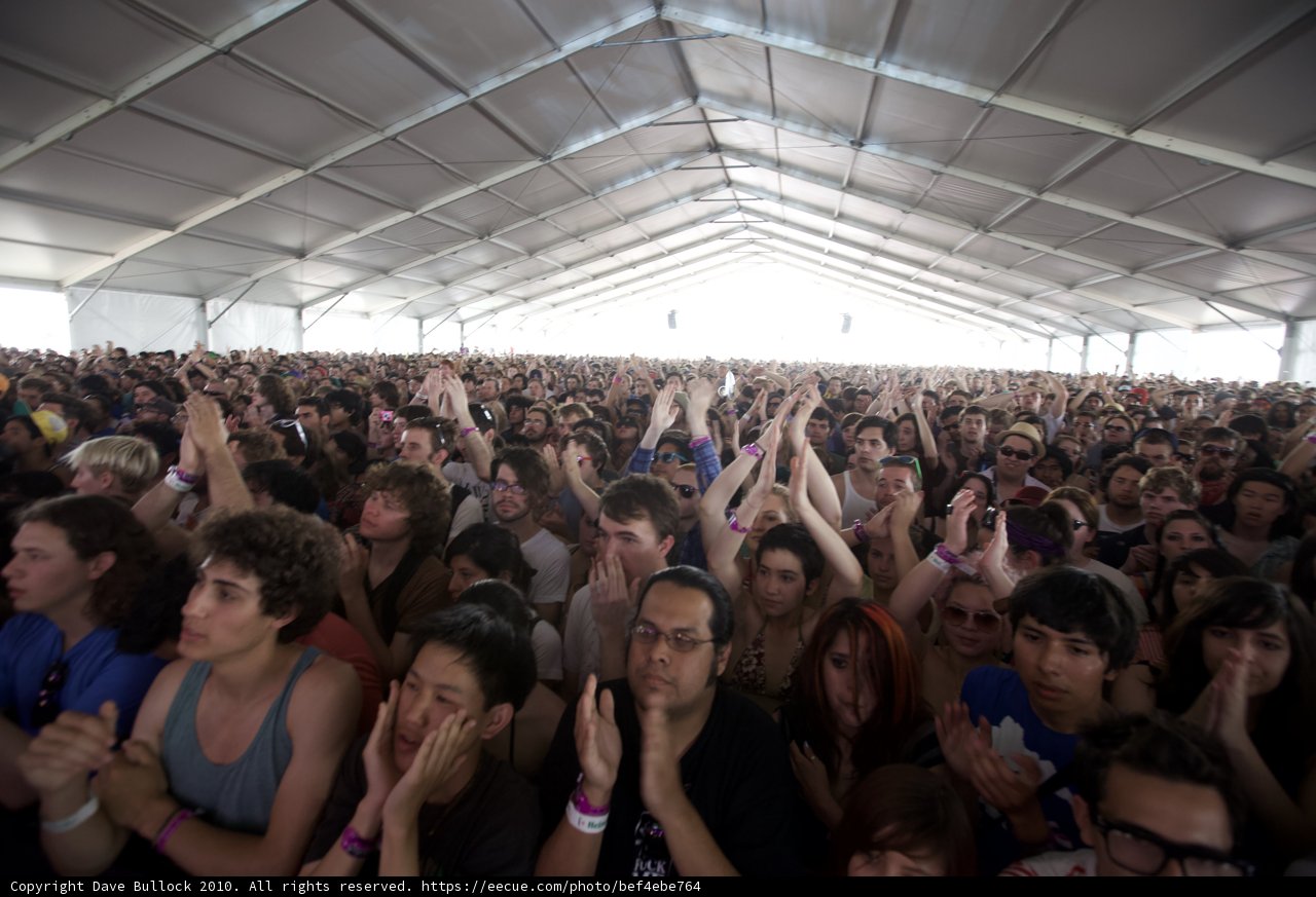 Hands Up in the Crowd