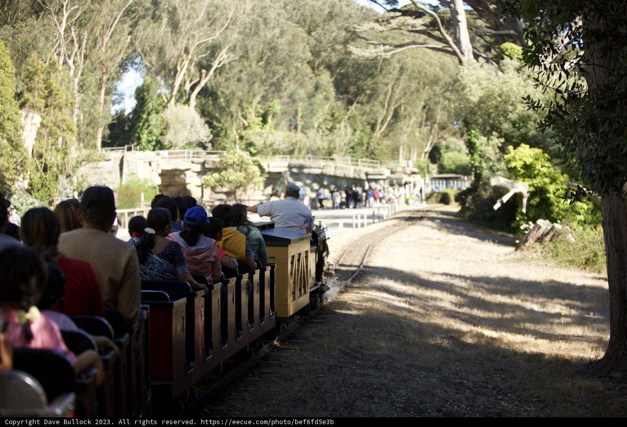 Day Out at SF Zoo: Fun Amidst Nature's Tapestry