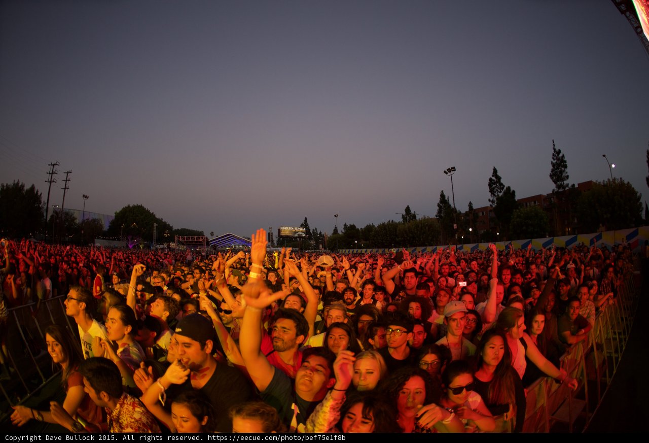 Woman Arm Raised in Crowd