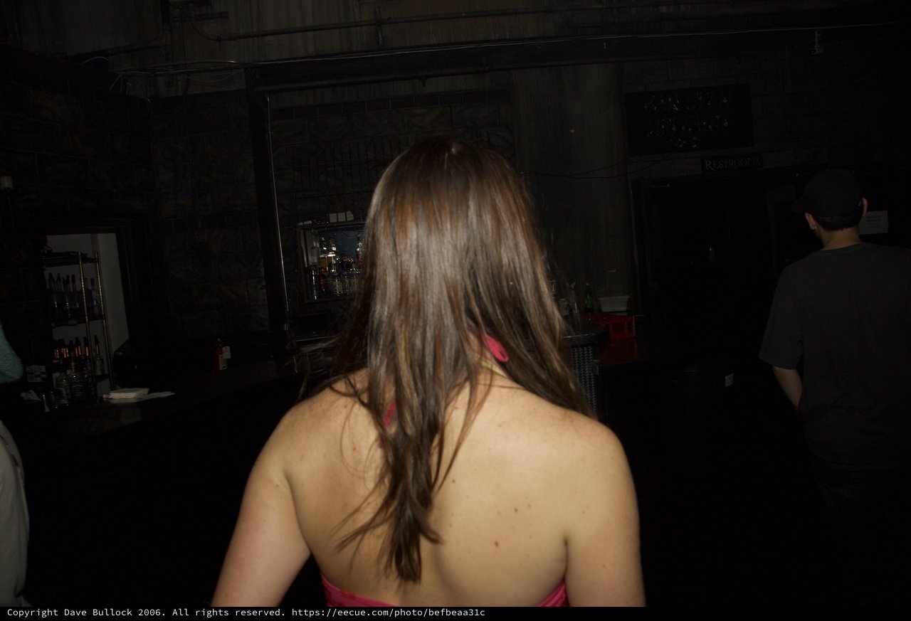 Woman at Dimly Lit Bar Facing Away