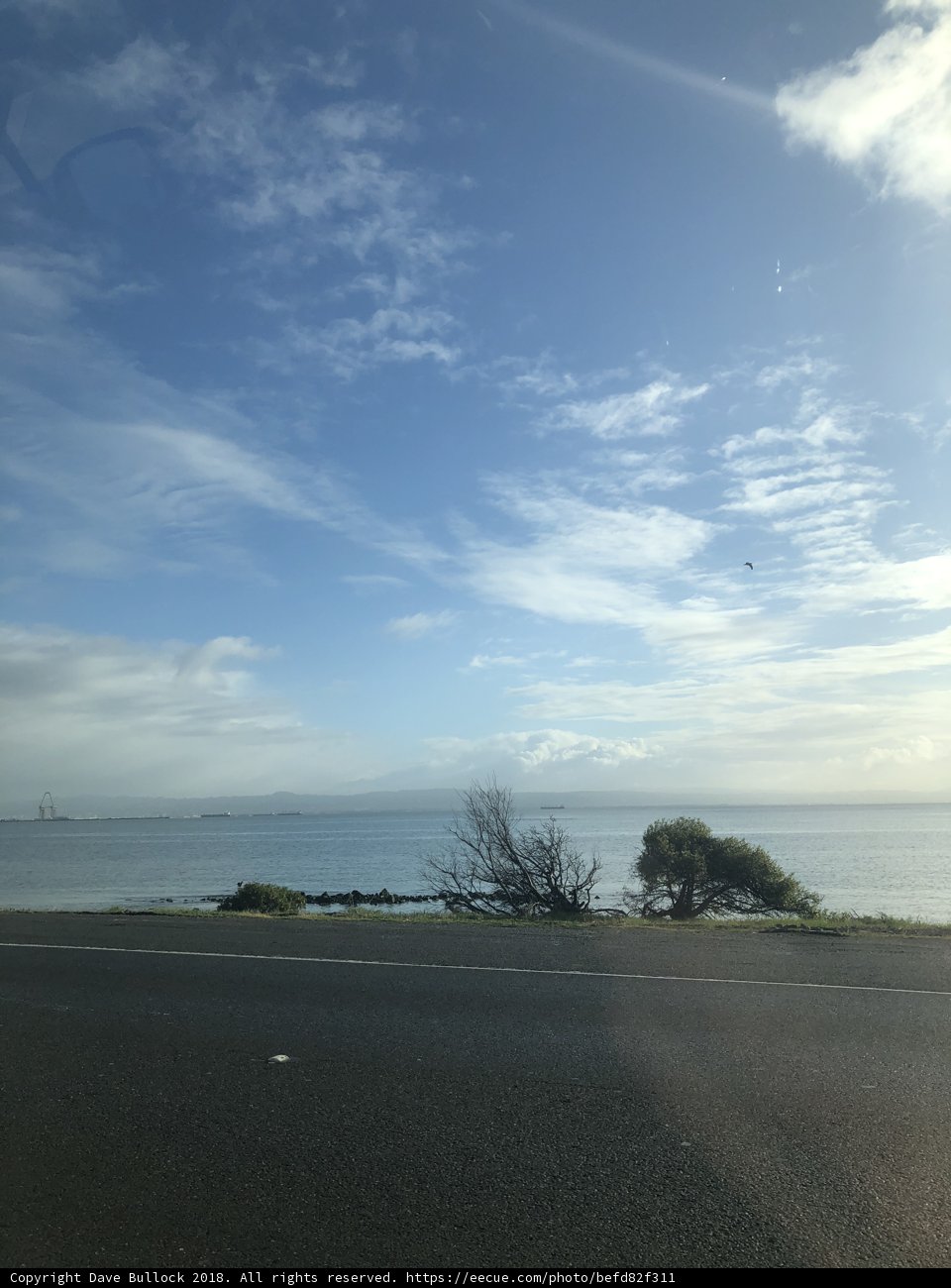 Road Trip Blue