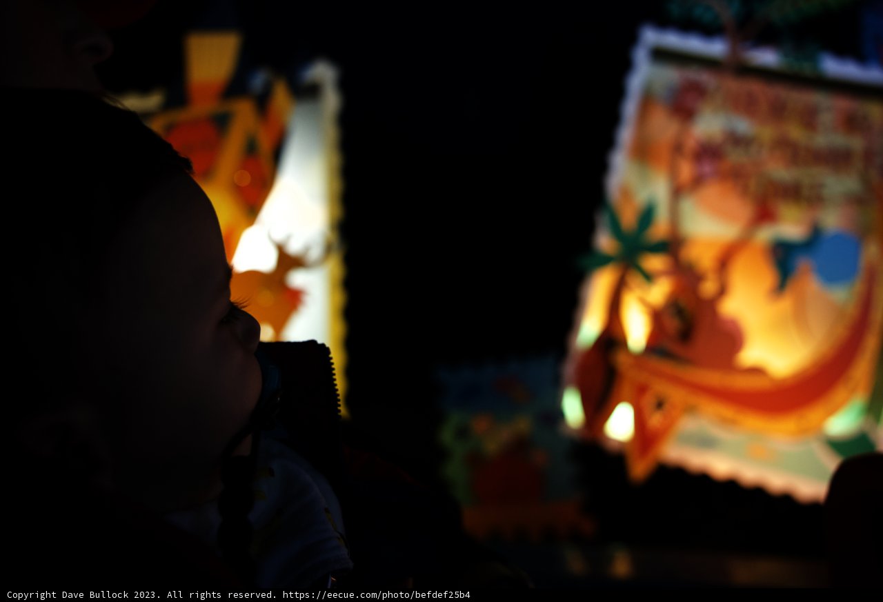 Mesmerized by the Magic of Reading