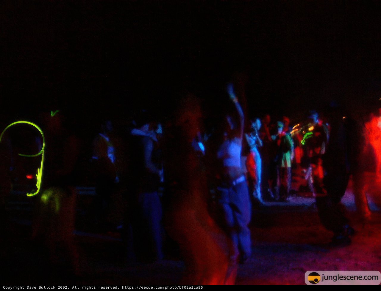 Nightlife in the Neon Jungle