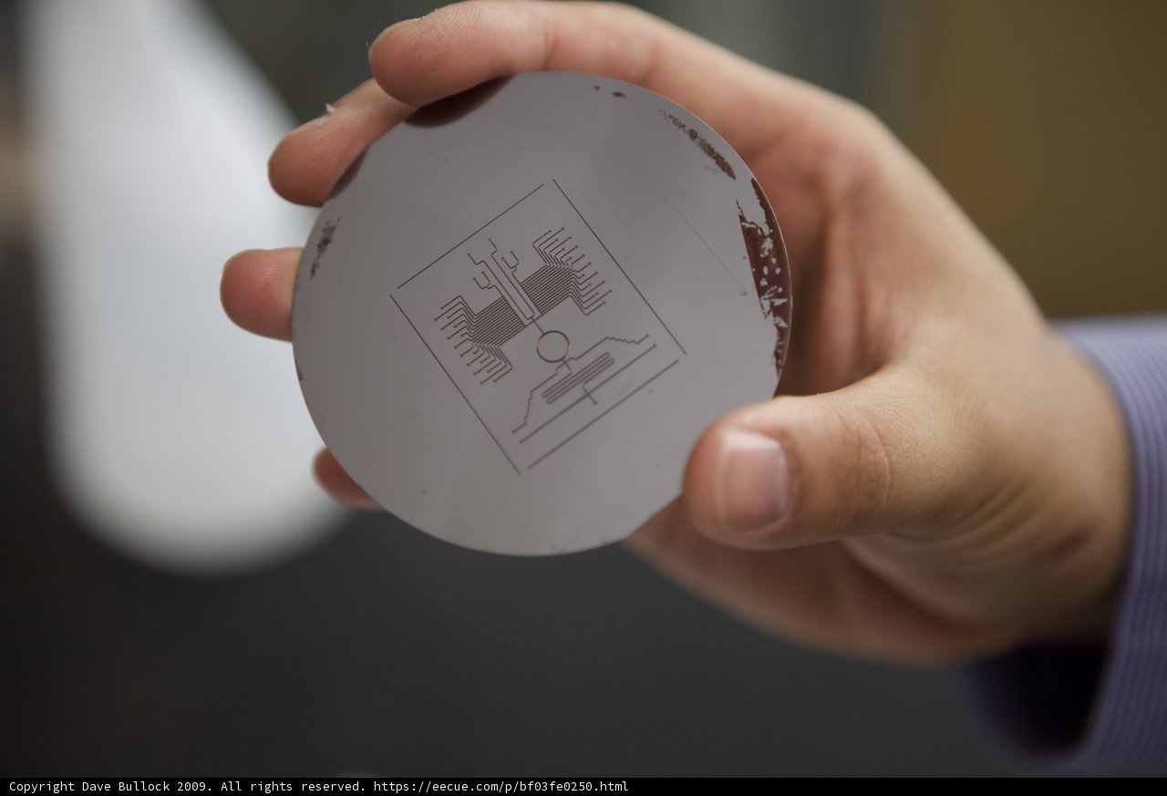 UCLA Micro Bio Chip Logo Disk