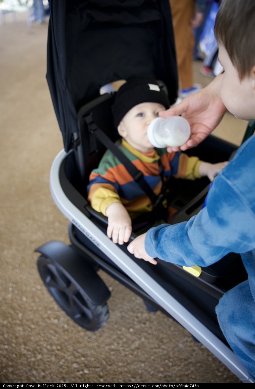 Stroll and Sip in the Park