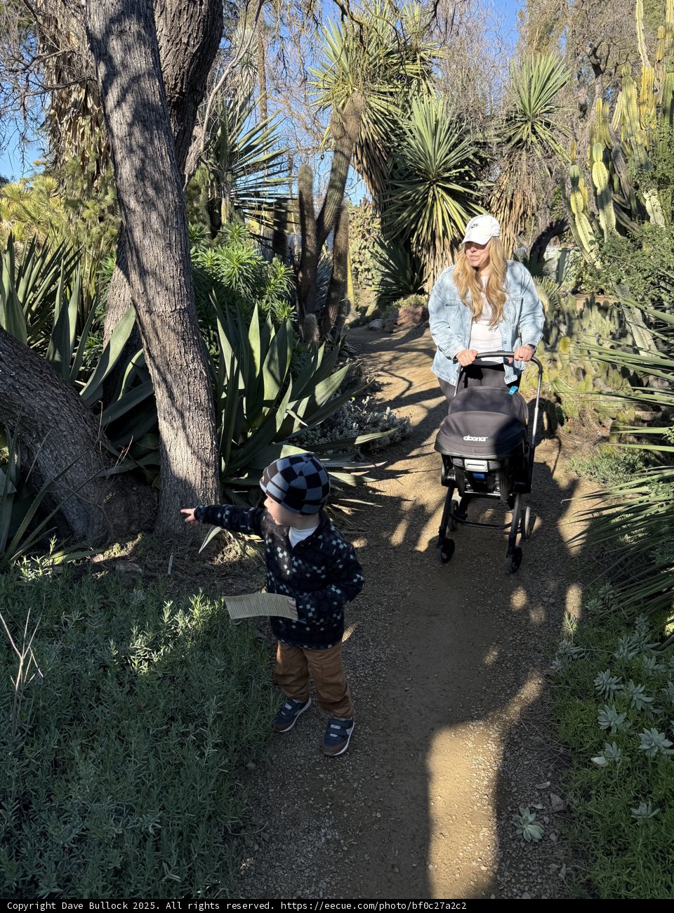 Exploring Nature's Pathway