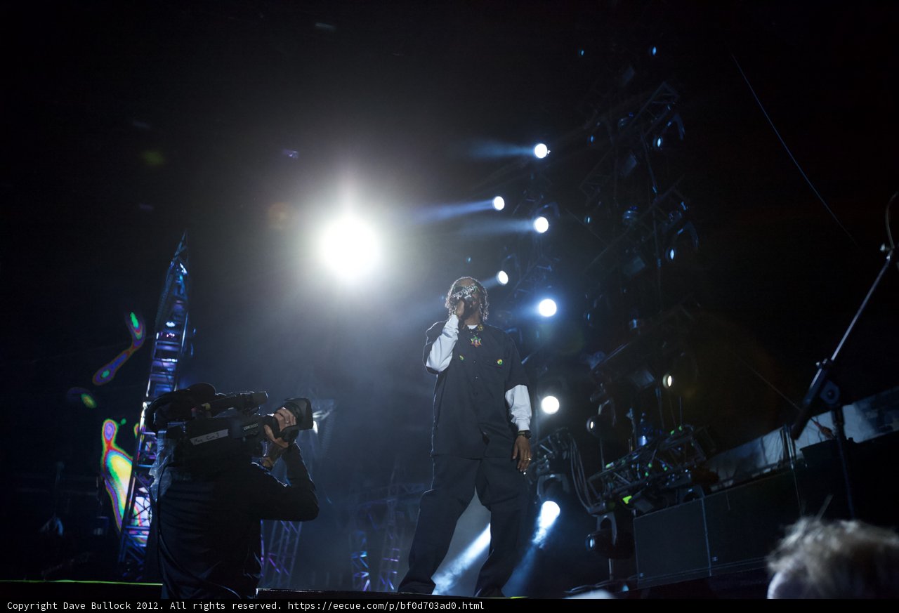 Spotlight on the Mic: An Entertainer Takes the Stage