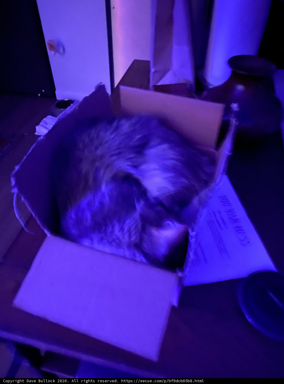 Box-n-Bed