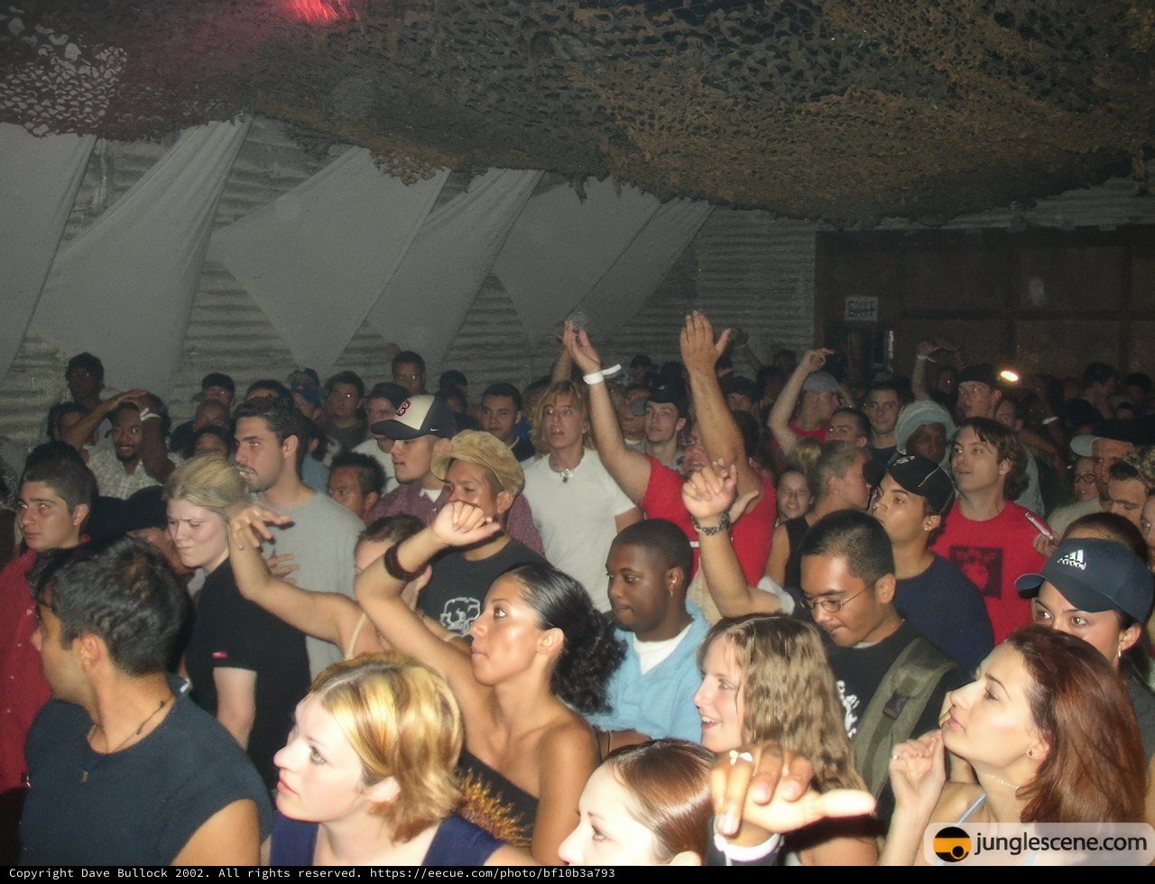 Nightclub Crowd Goes Wild