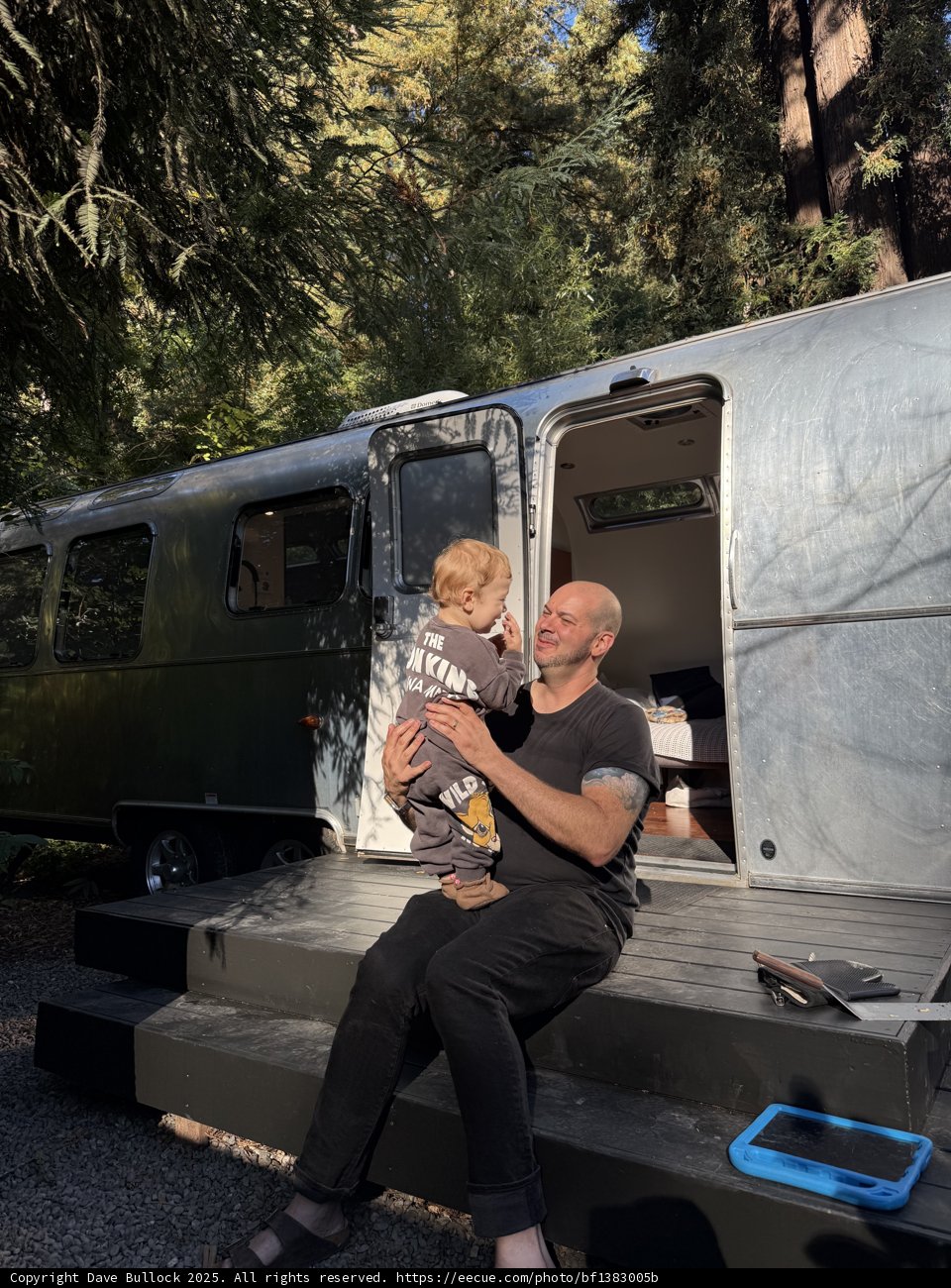 Morning Moments in the Redwoods
