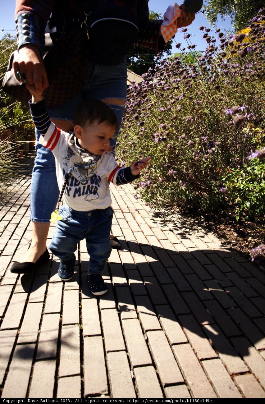 A Stroll with New Life