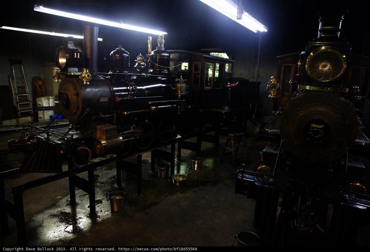 Enchanting Railway Encounter