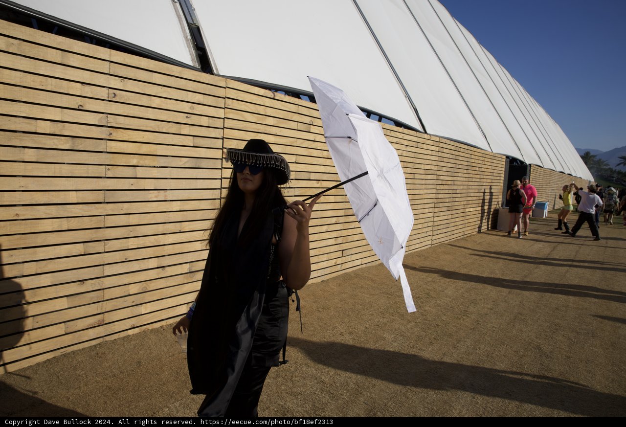 Stylish Solitude at Coachella