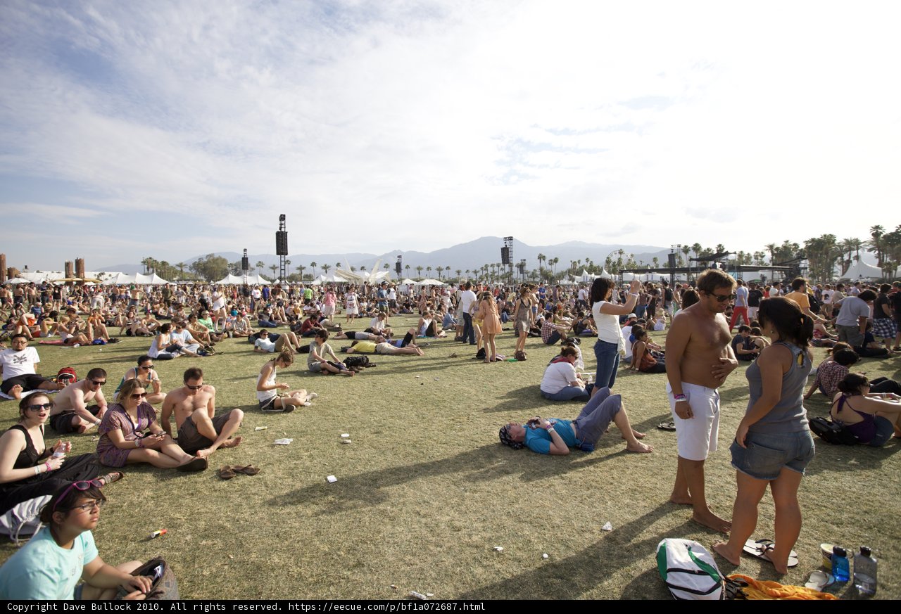 Grooving on the Grass