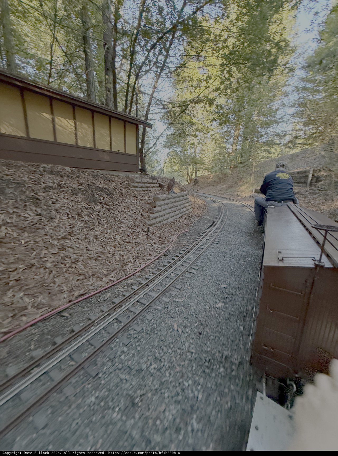 Scenic Narrow Gauge Railroad Journey Through Forest