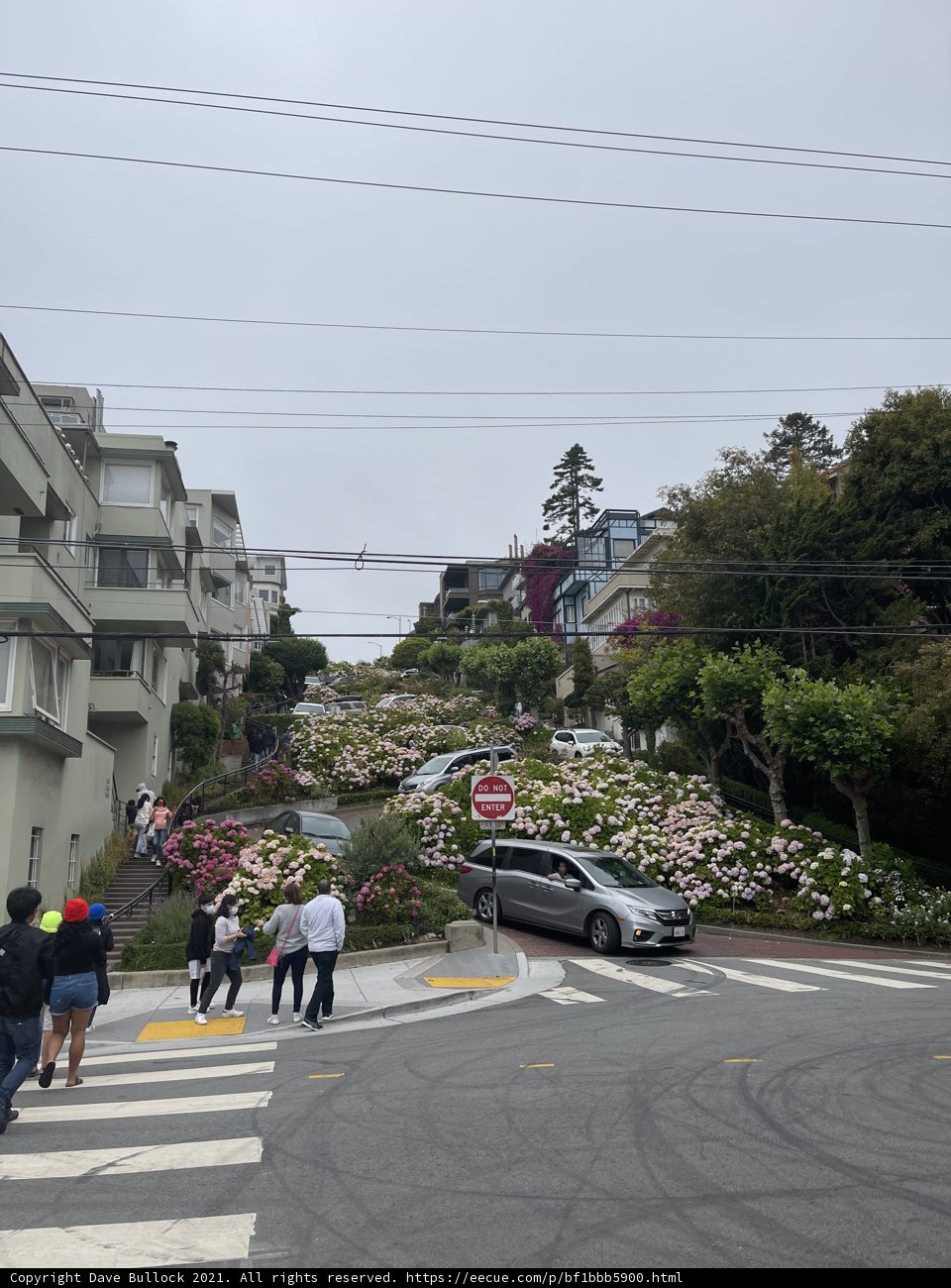 Flowery Hillside Stroll