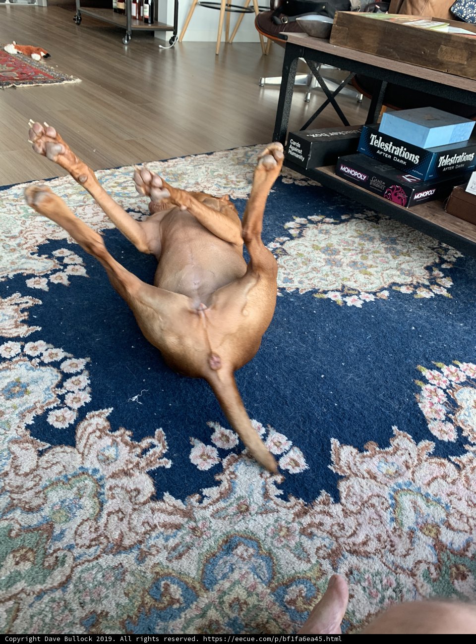 Ultimate Relaxation