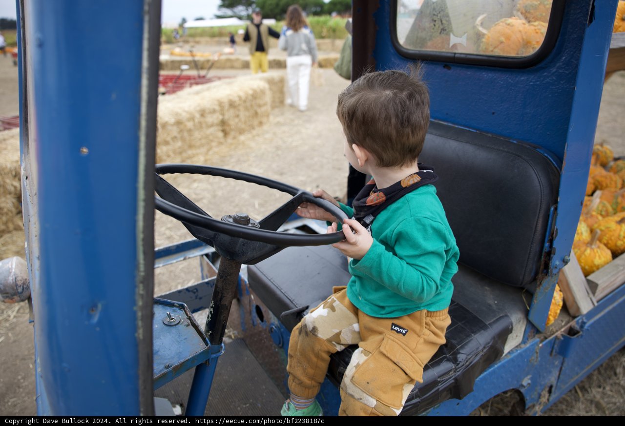 Young Explorer on the Farm