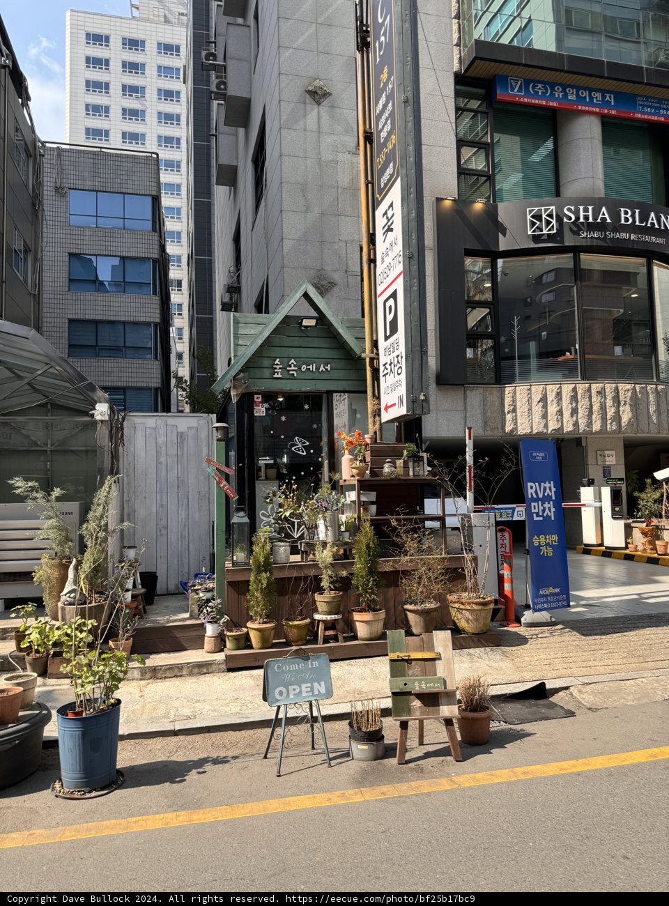 Green Haven in Urban Seoul