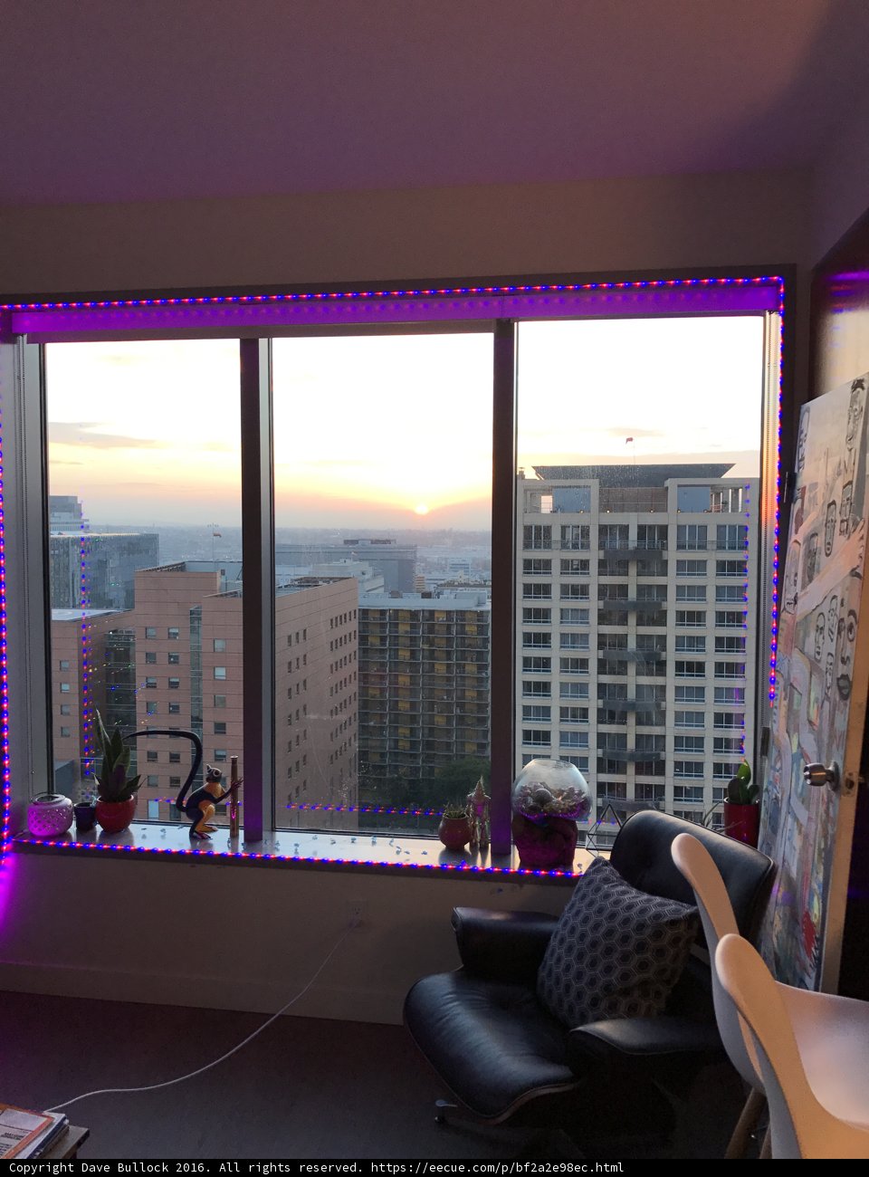 Purple Lights Through the Window