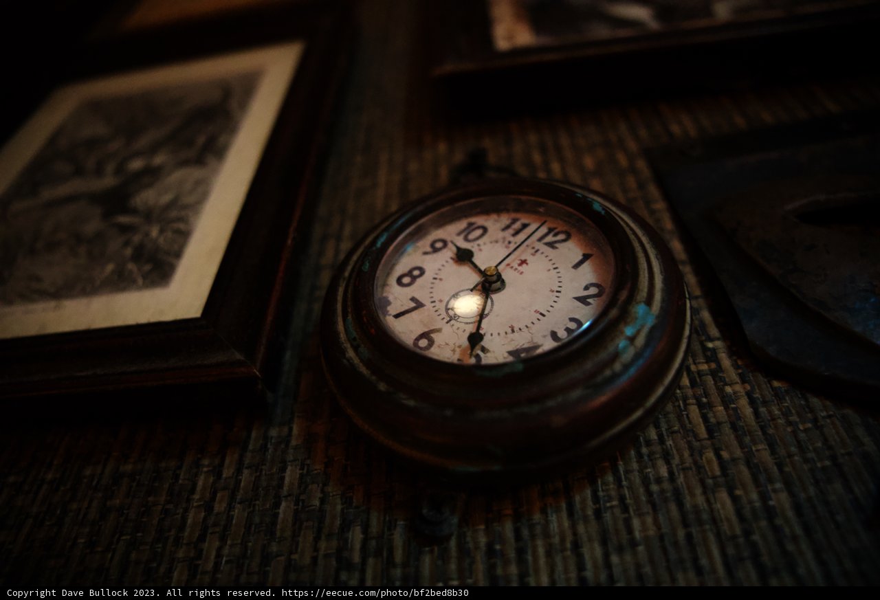 Timeless Memories at Disneyland