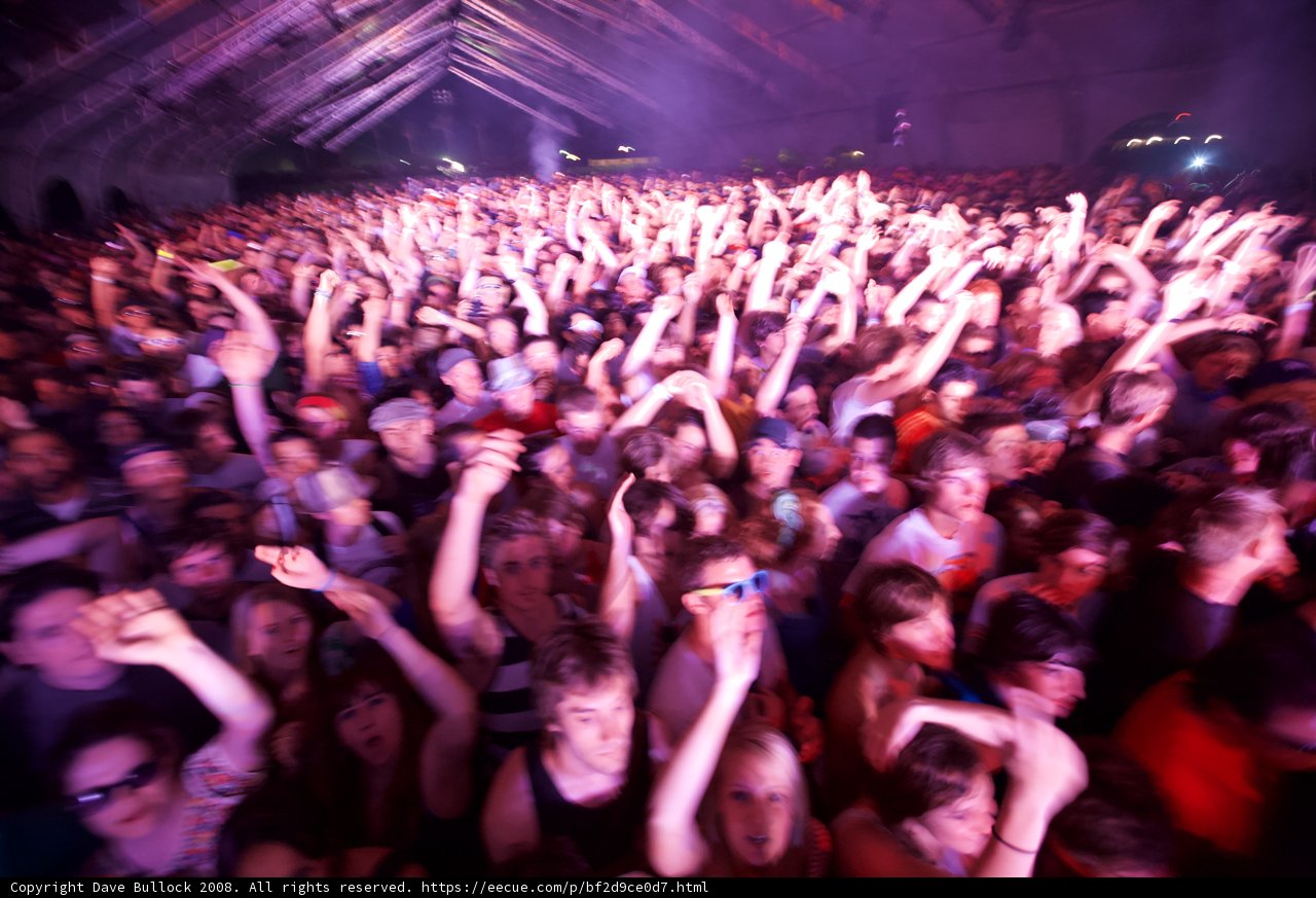 Electric Crowd at 2008 Coachella Concert